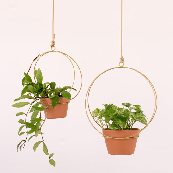 Andro Metal Hanger - Pale Gold - Shop Online!