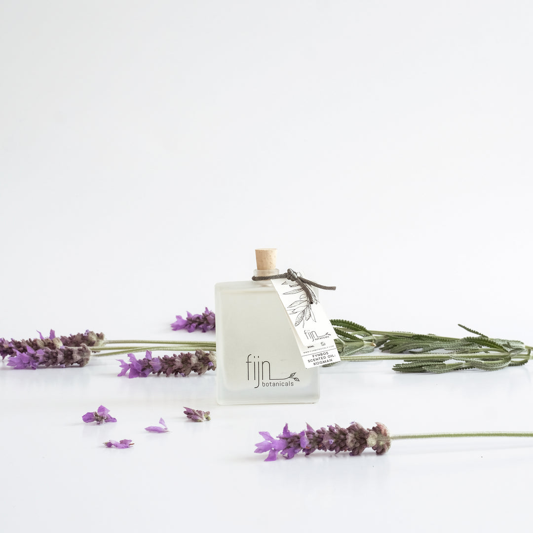 Fijn Botanicals - Fynbos Scented Oil - Kogman - Shop Online!