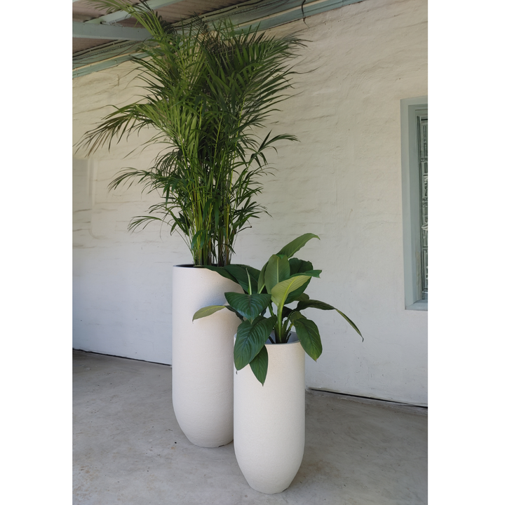 Two tall white planters with Plants Outside