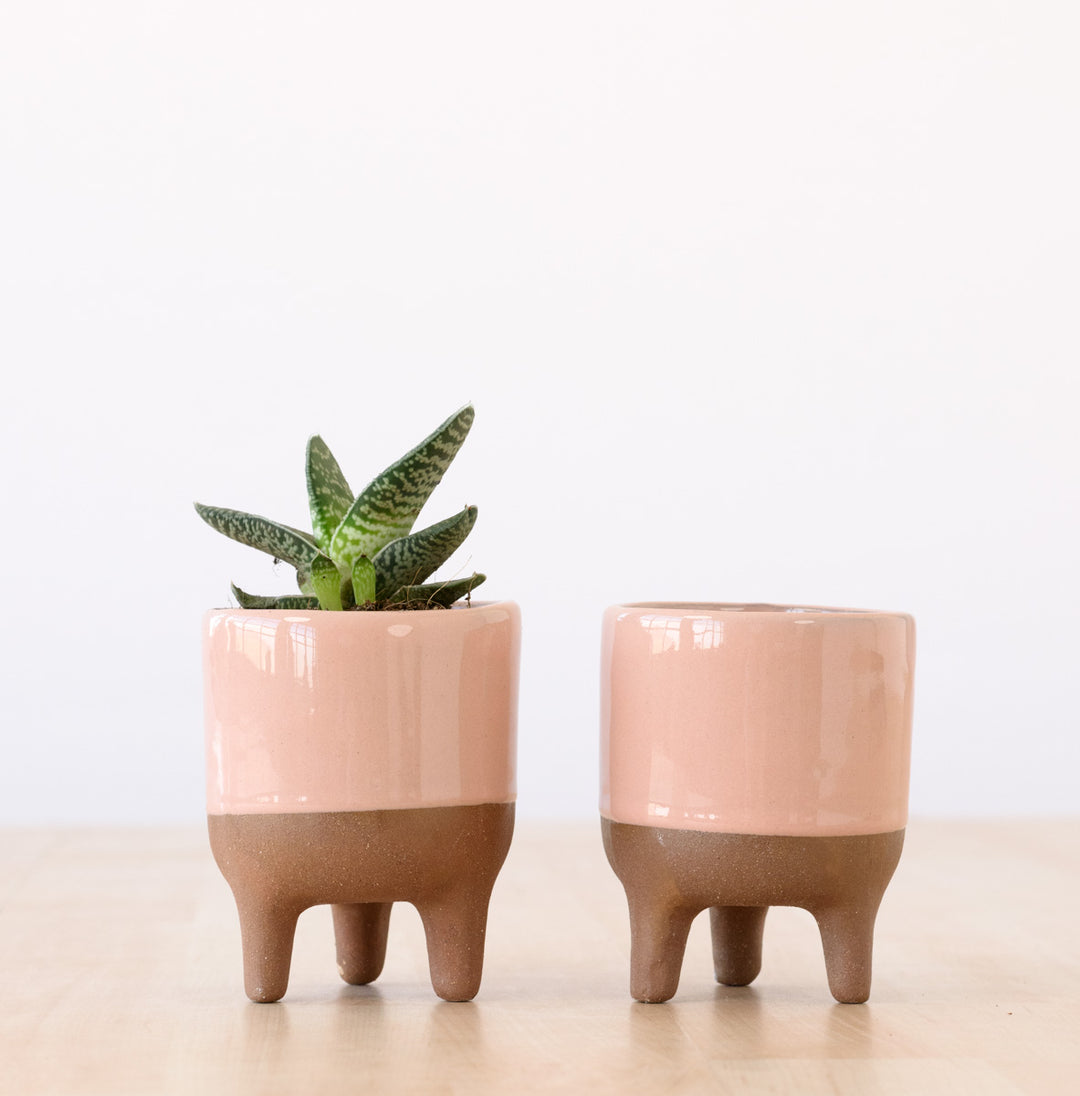 Pippin Planter - Pink - Shop Online!