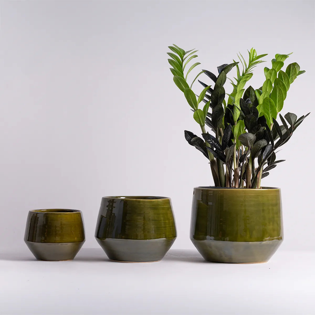 large vintage indoor plant pots Pogo Planter - Vintage Green