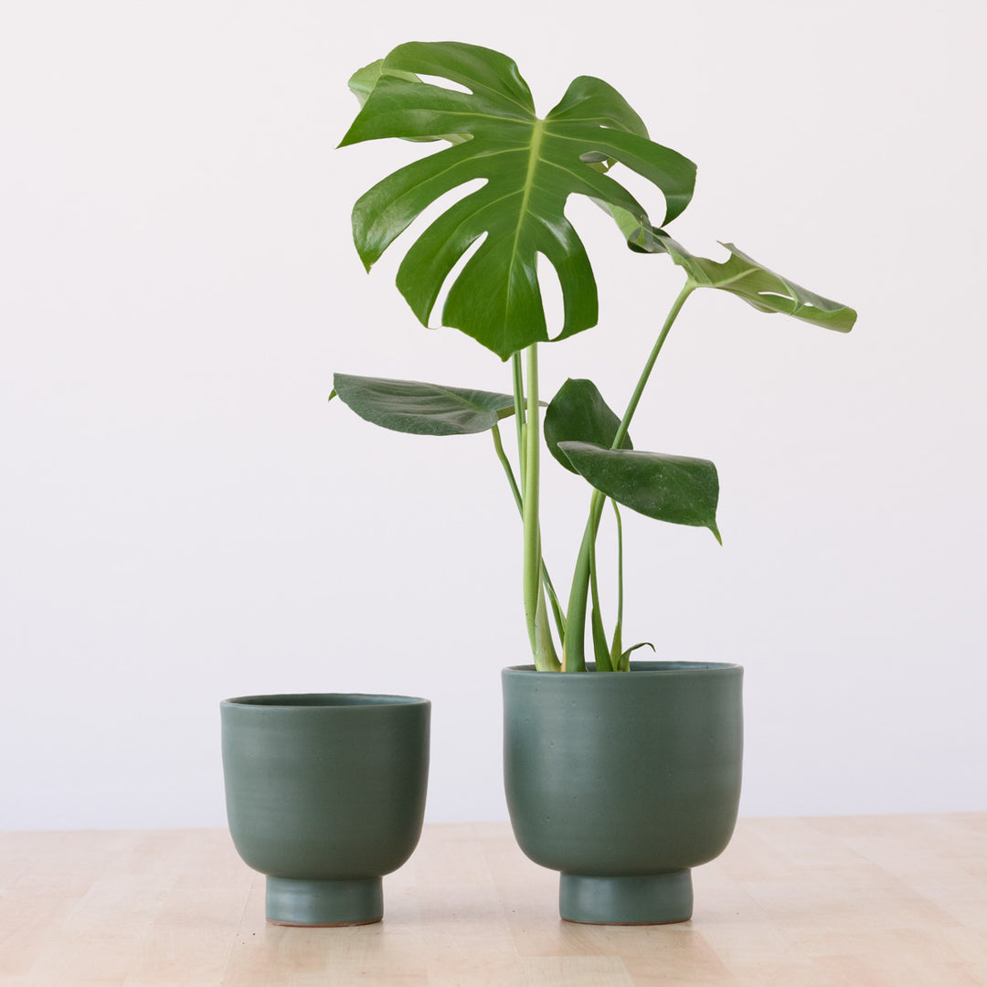 Shing Plinth Planter - Forest Green - Shop Online!