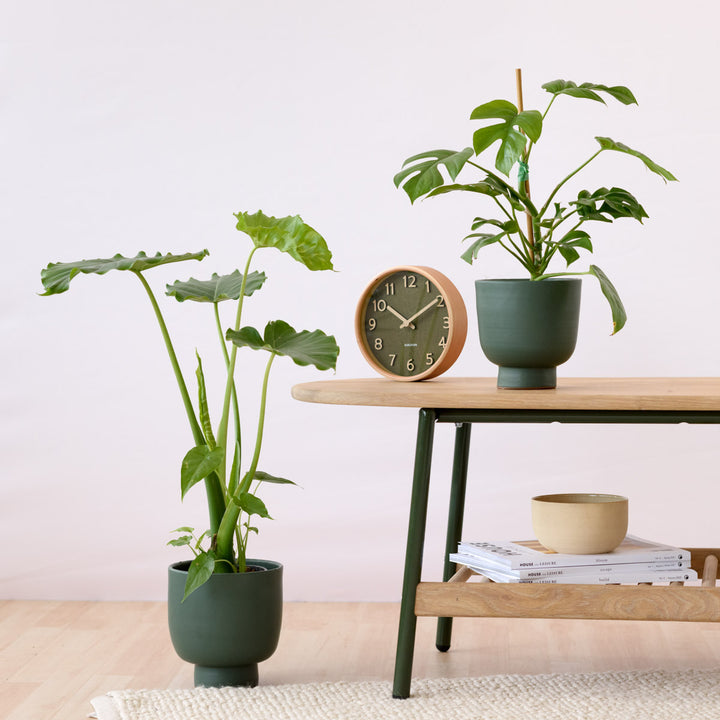 Shing Plinth Planter - Forest Green - Shop Online!