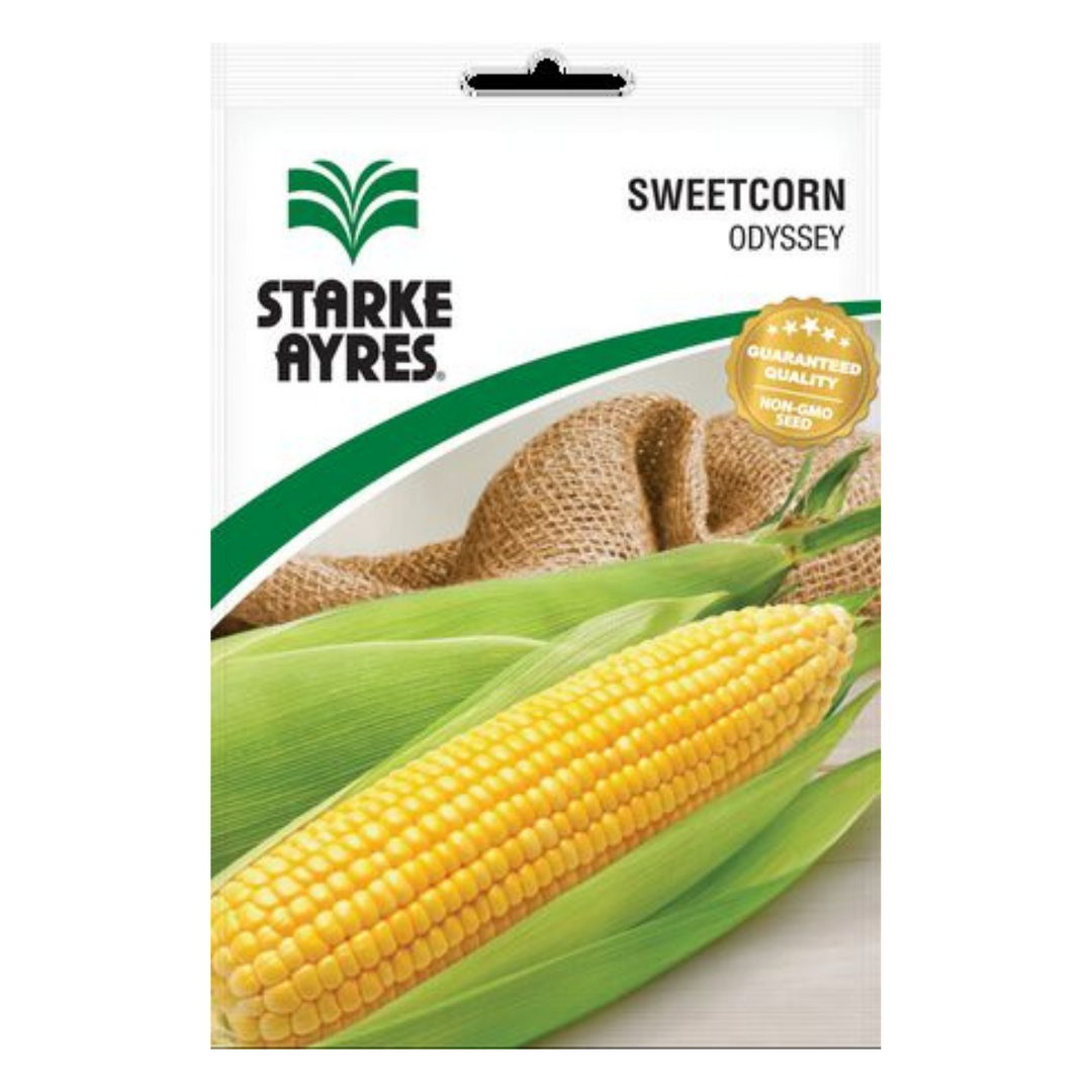 Seeds - Sweetcorn - Shop Online!