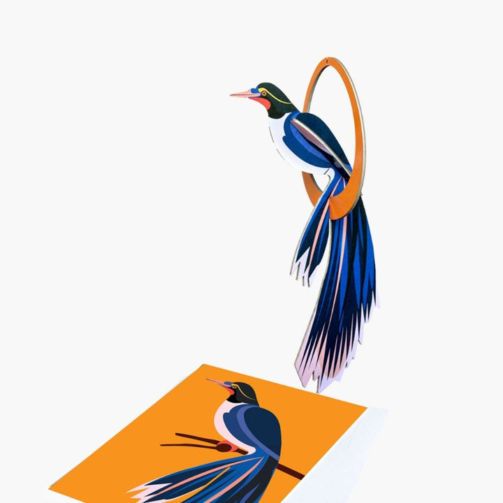 Swinging Flores - Shop Online!