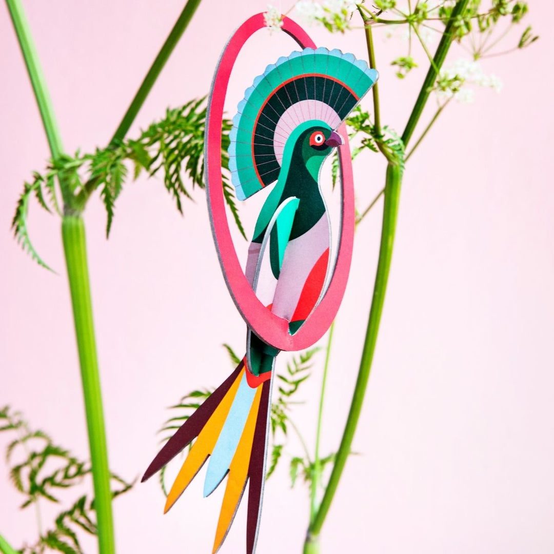 Swinging Gili - Shop Online!