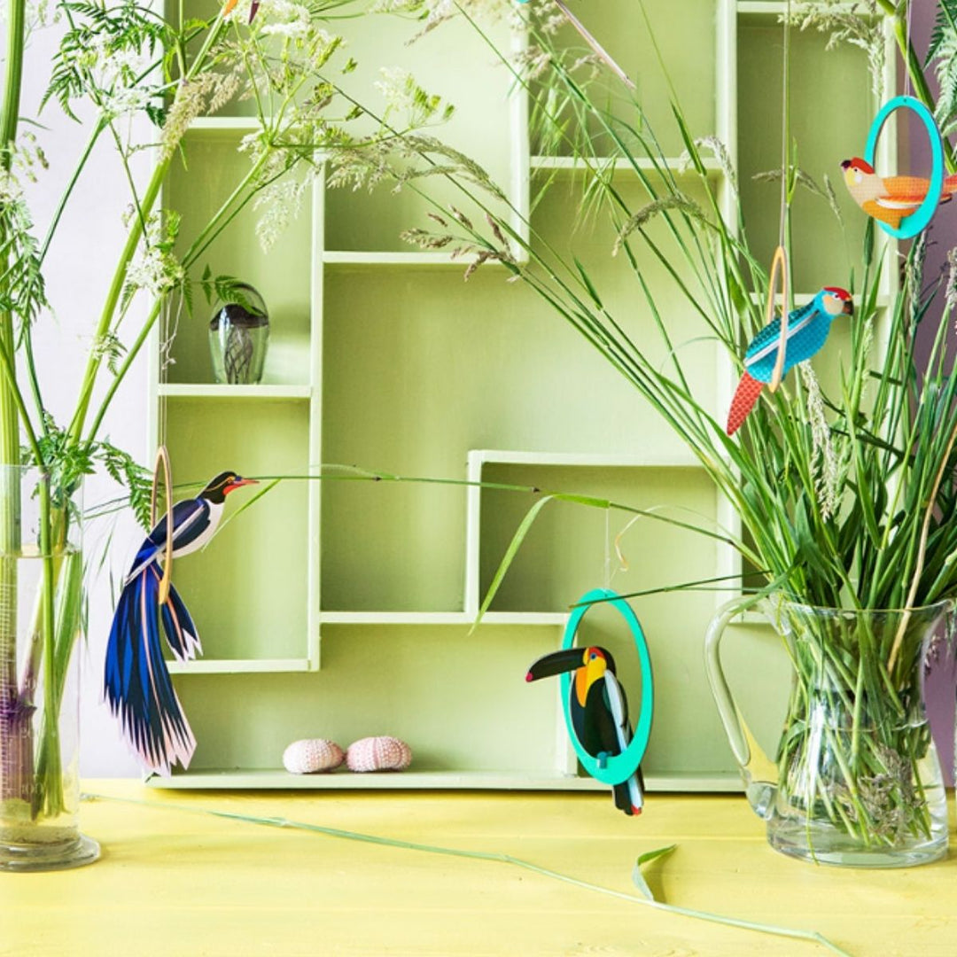 Swinging Toucan - Shop Online!