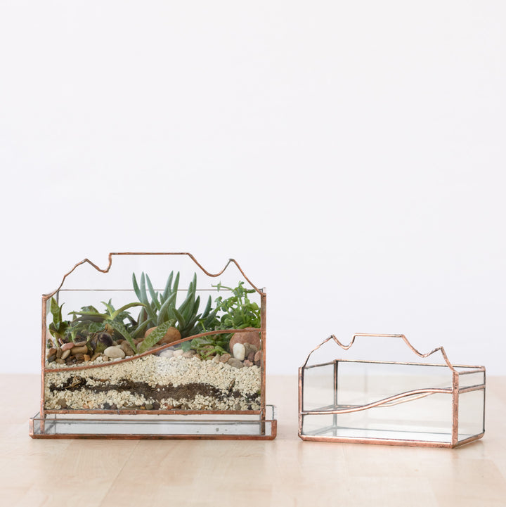 Terrarium - Table Mountain - Shop Online!