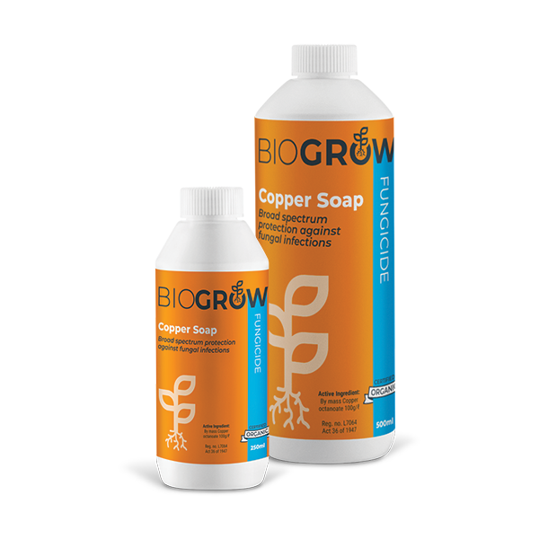 copper fungicide for indoor plants Copper Soap - Organic Fungicide