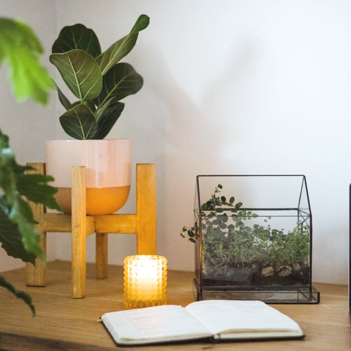 Wooden Plant Stand - Shop Online!