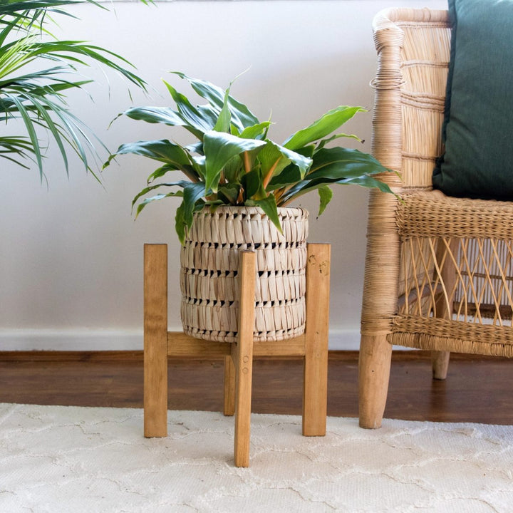 Wooden Plant Stand - Shop Online!