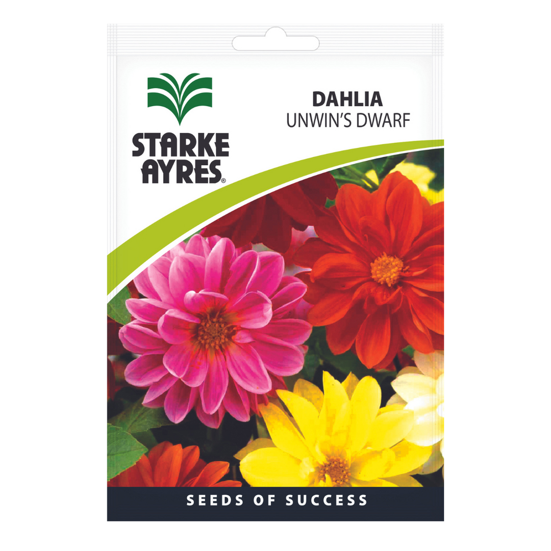 Seeds - Dahlia Unwin's Dwarf - Shop Online!