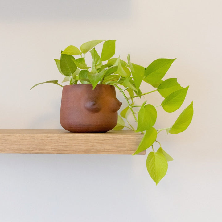 Boob Planter - Terracotta - Shop Online!