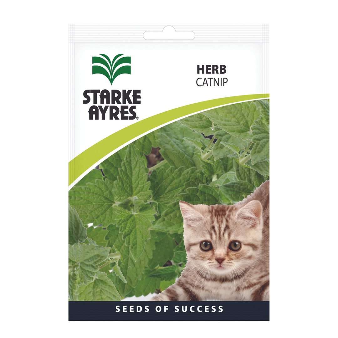 Seeds - Catnip - Shop Online!