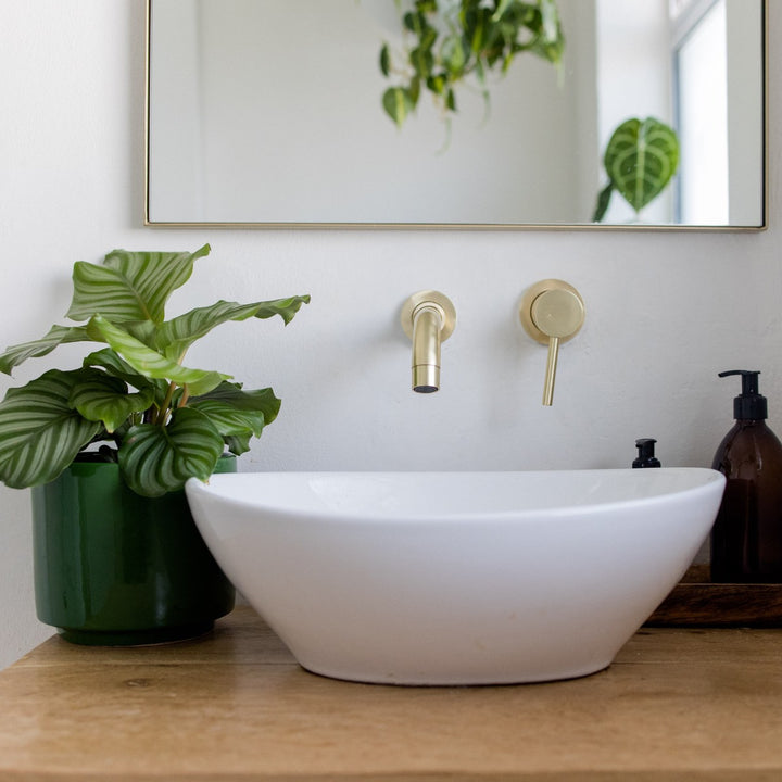 Calathea Orbifolia - Shop Online!