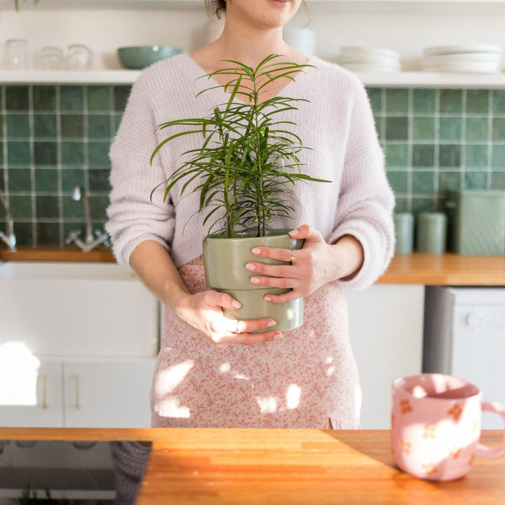 Yellowwood - Shop Online!