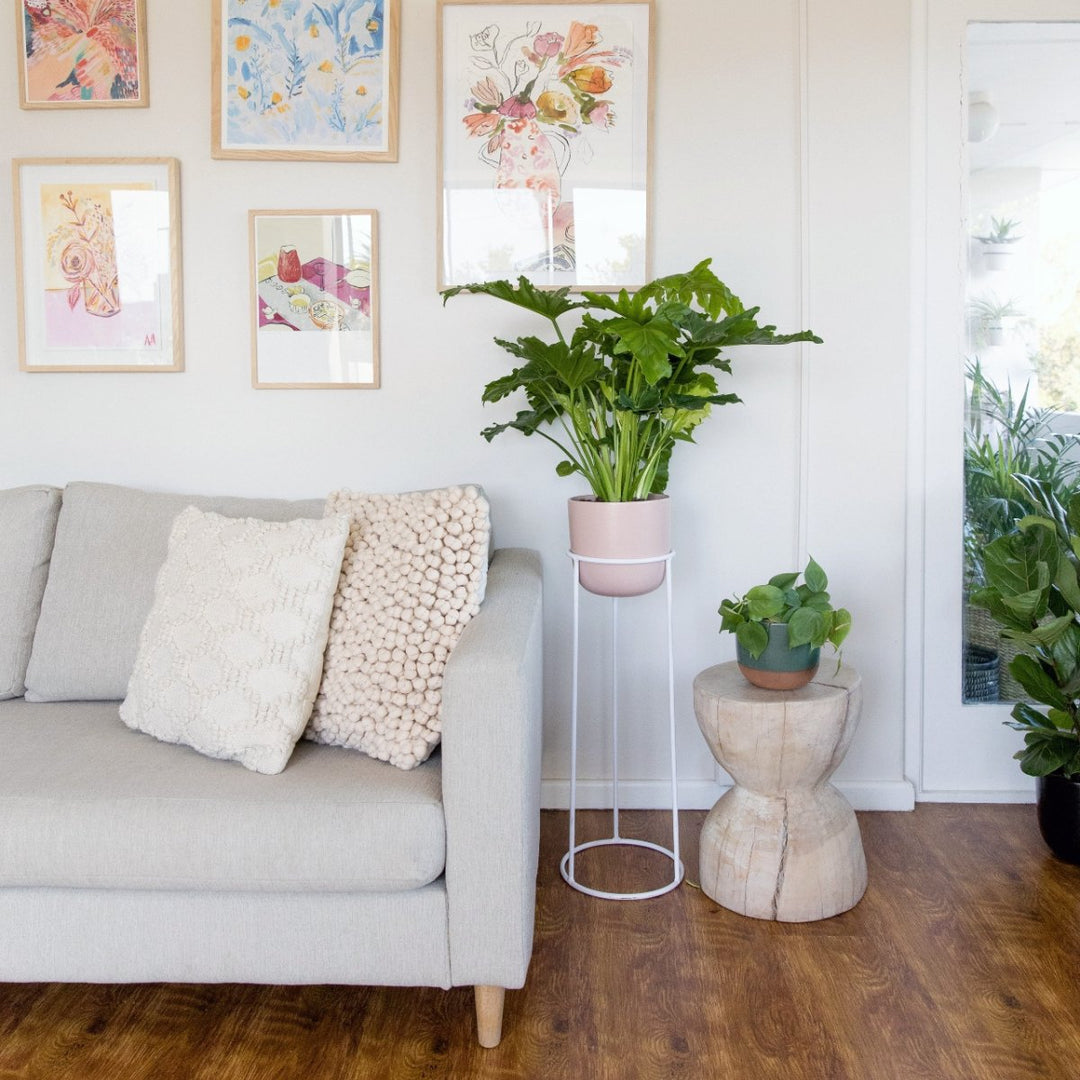 Orion Plant Stand - White - Shop Online!