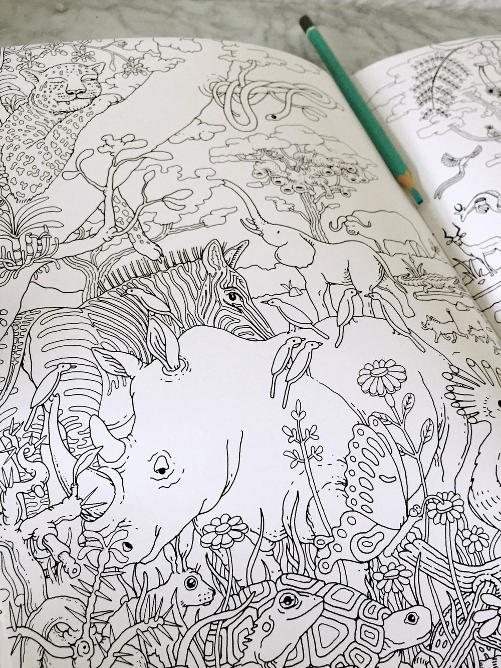 Africanum Coloratum - Colouring Safari - Shop Online!