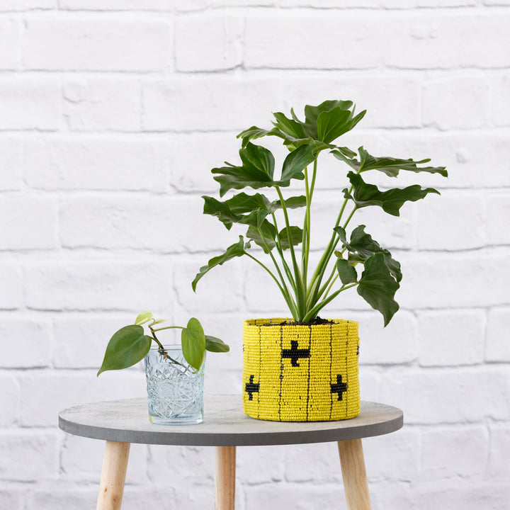 Bomo Beaded Basket - Shop Online!