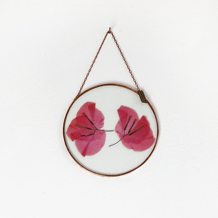 VELT Botanical Frame - Bougainvillea - Shop Online!