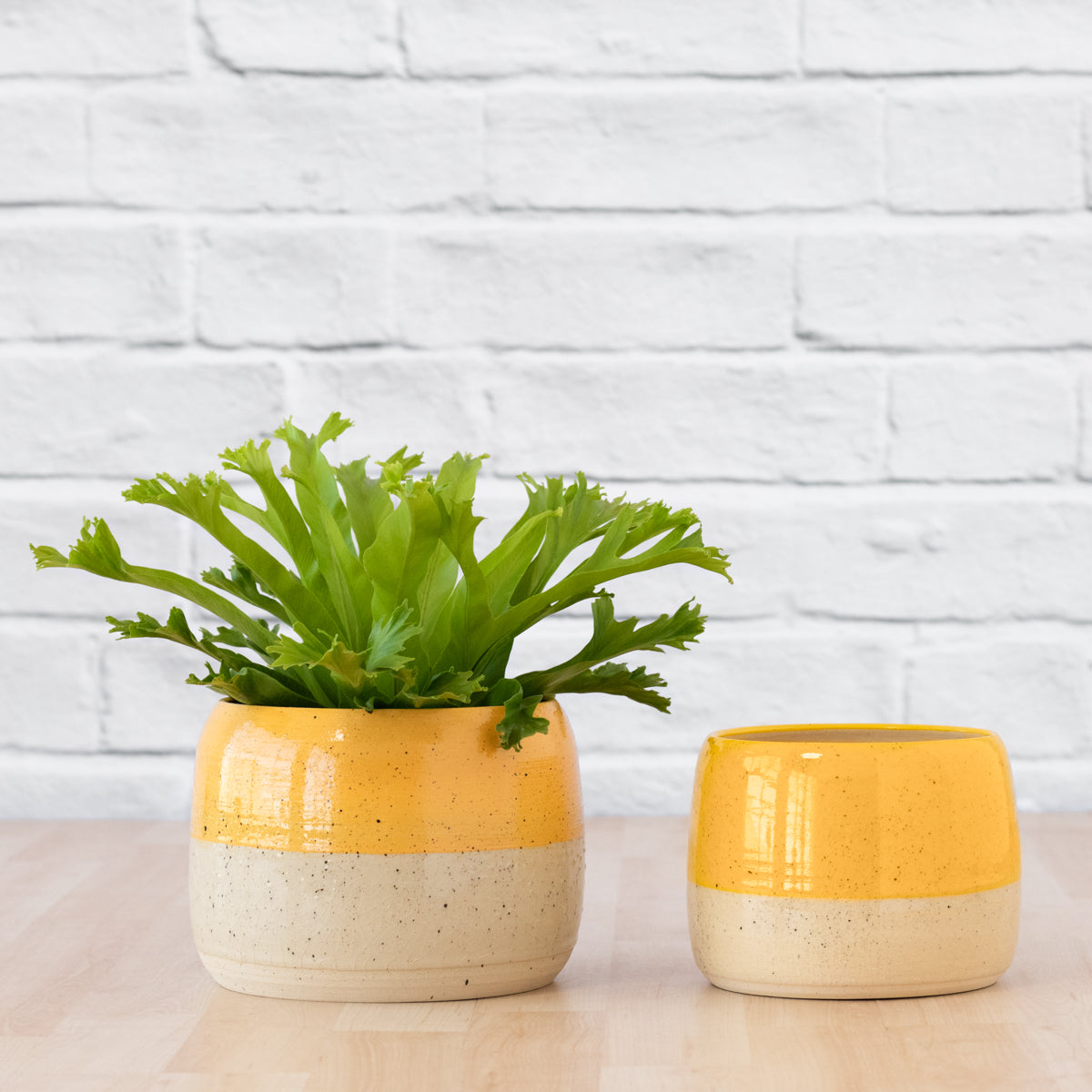 Caxi Planter - Yellow | Indoor Plant Pot