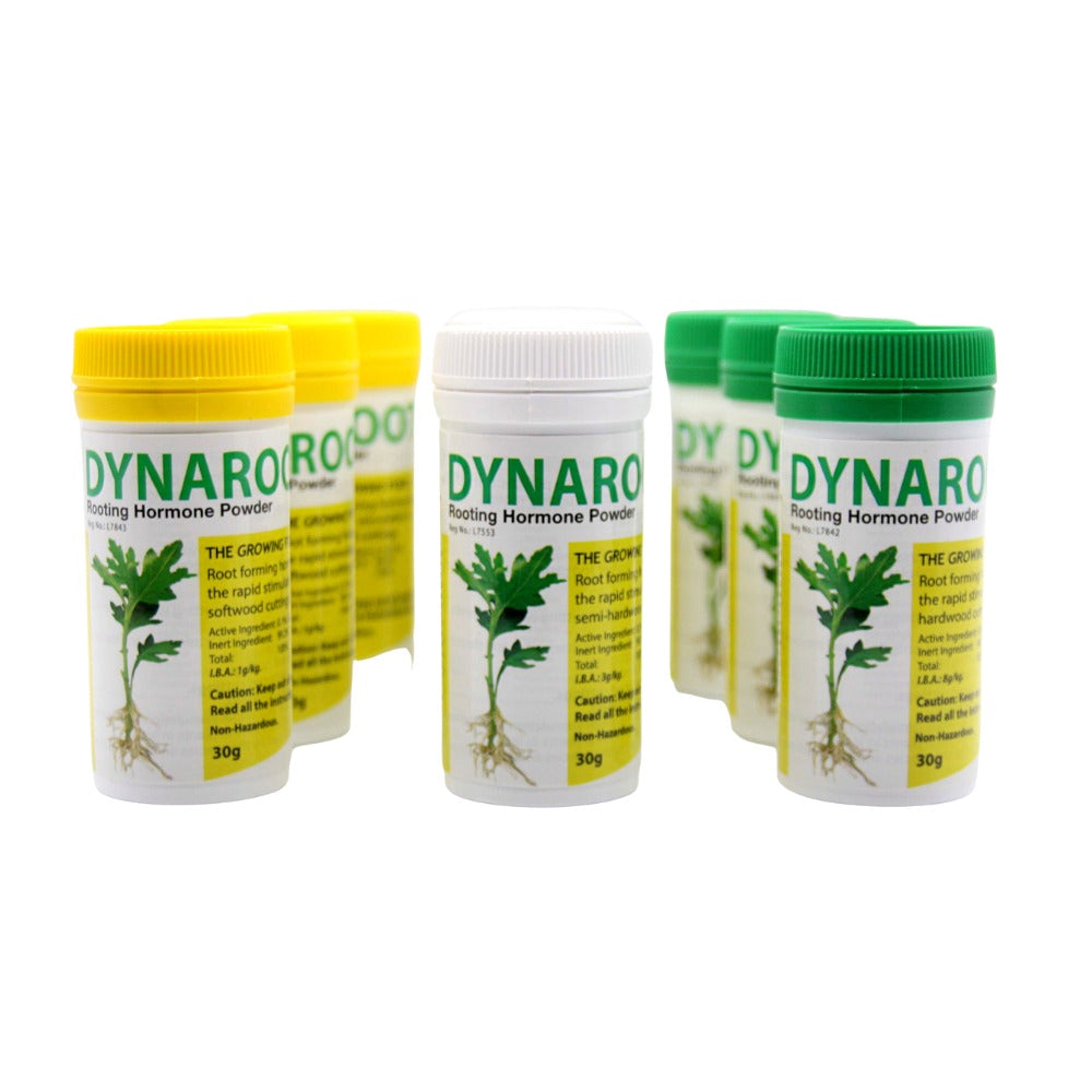 best rooting powder for succulents Dynaroot Rooting Hormone Powder