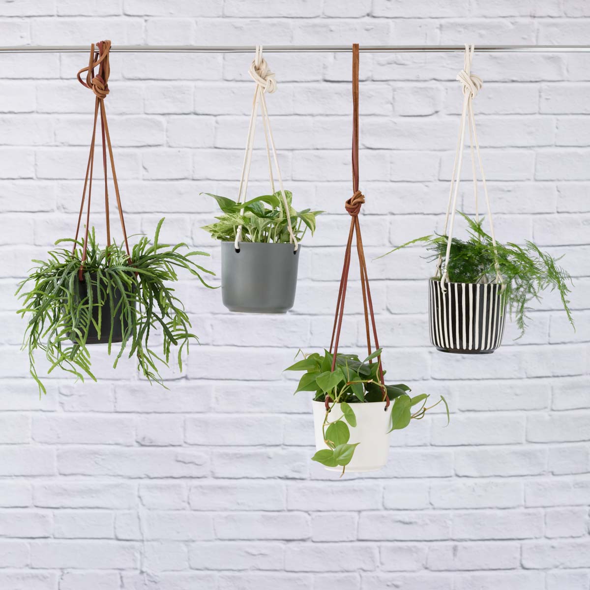 hanging plants south africa Emerson Leather Matte Hanging Pot