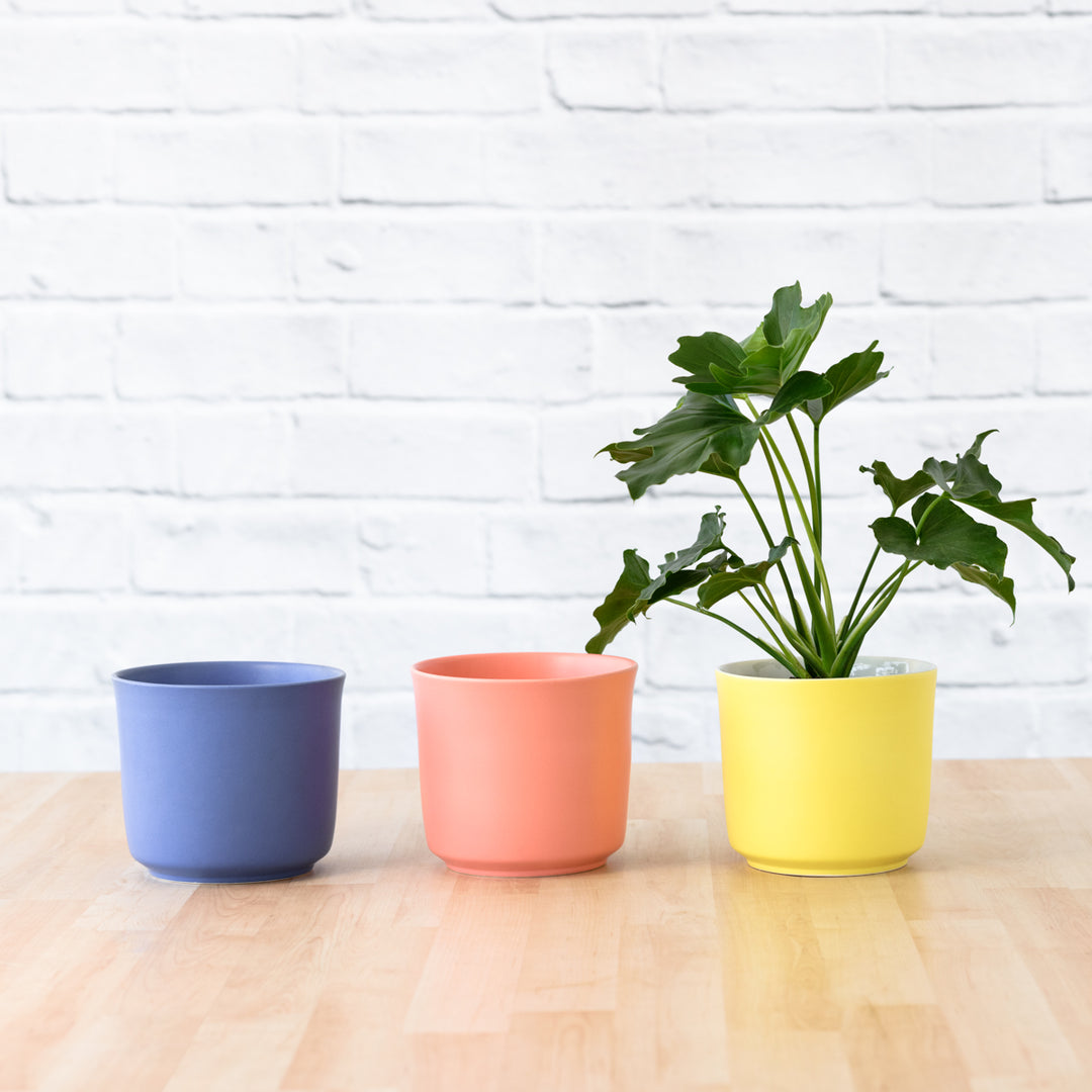 Emerson Pot - Neon - Shop Online!