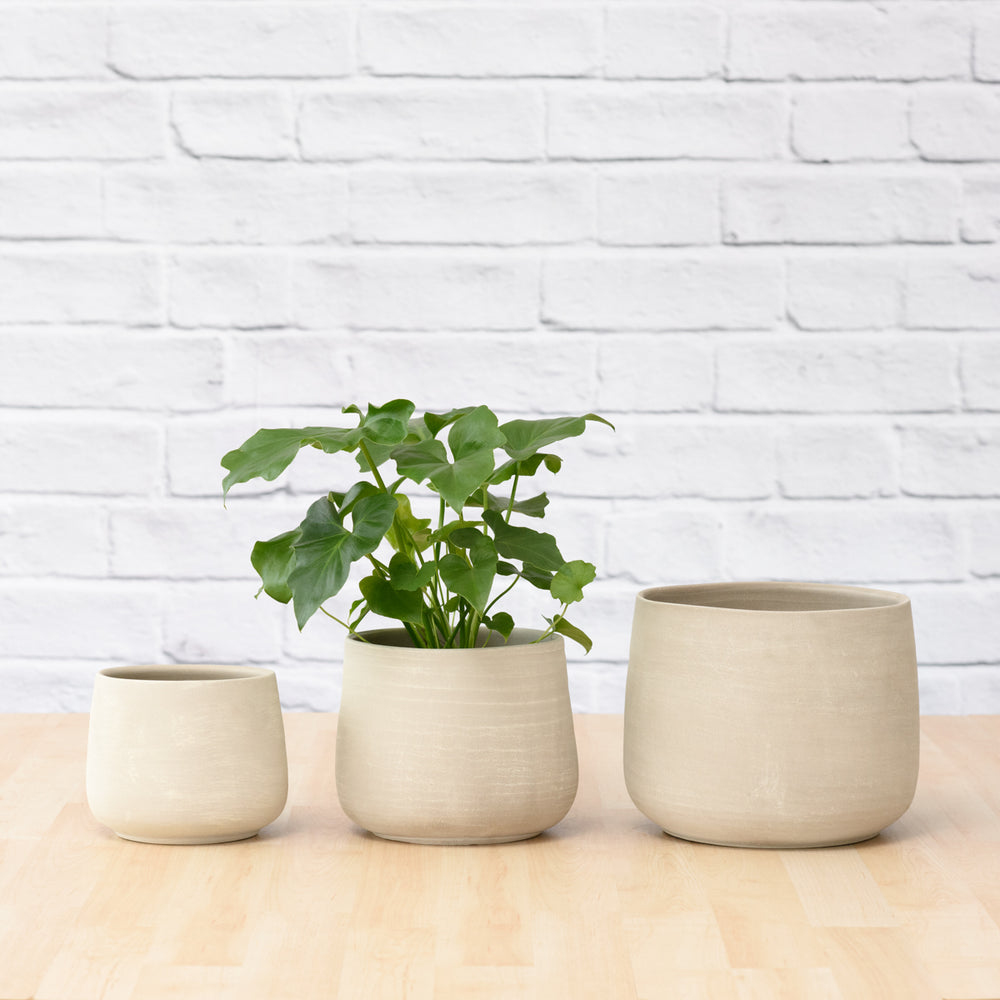 Helia Planter - Concrete - Shop Online!