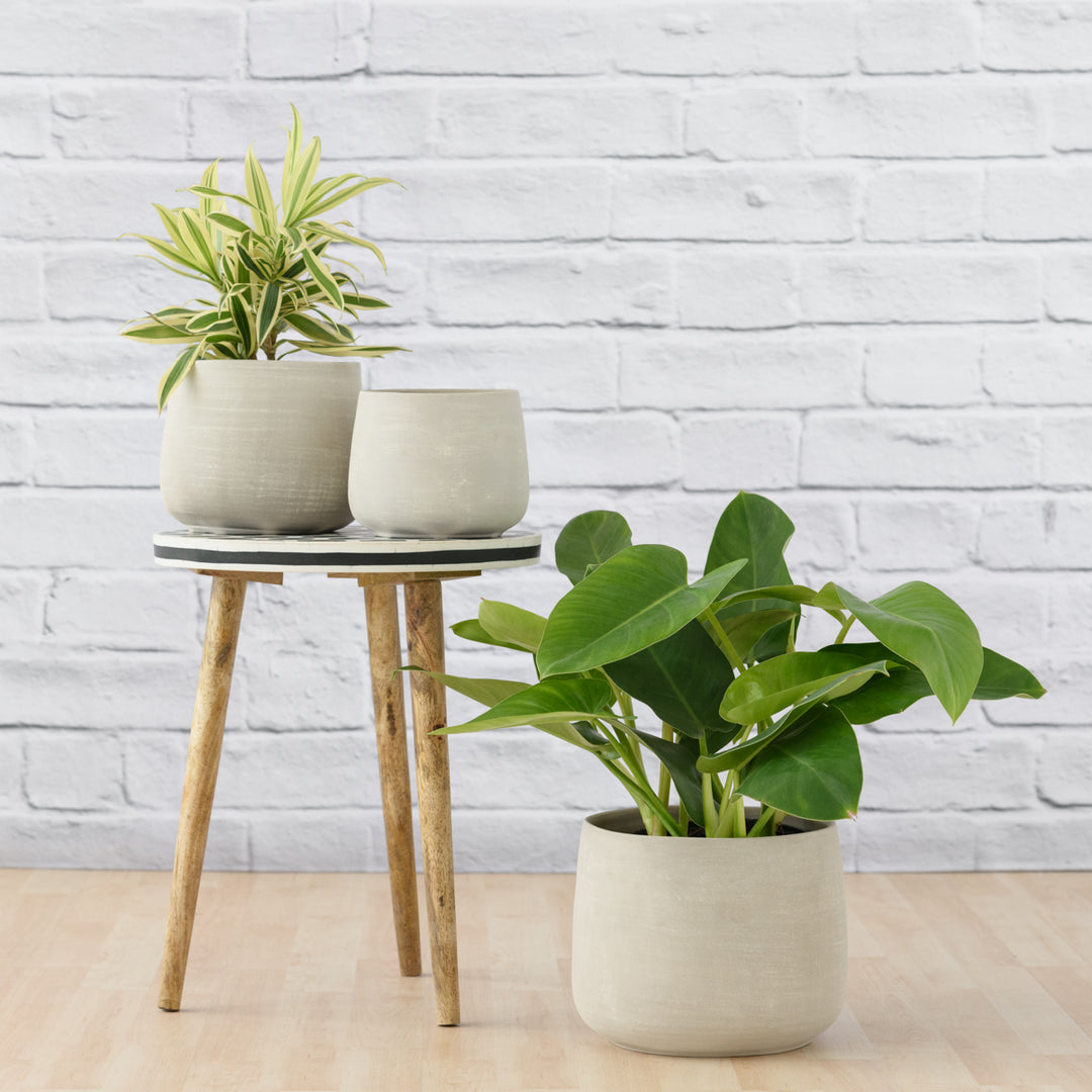 Helia Planter - Concrete - Shop Online!