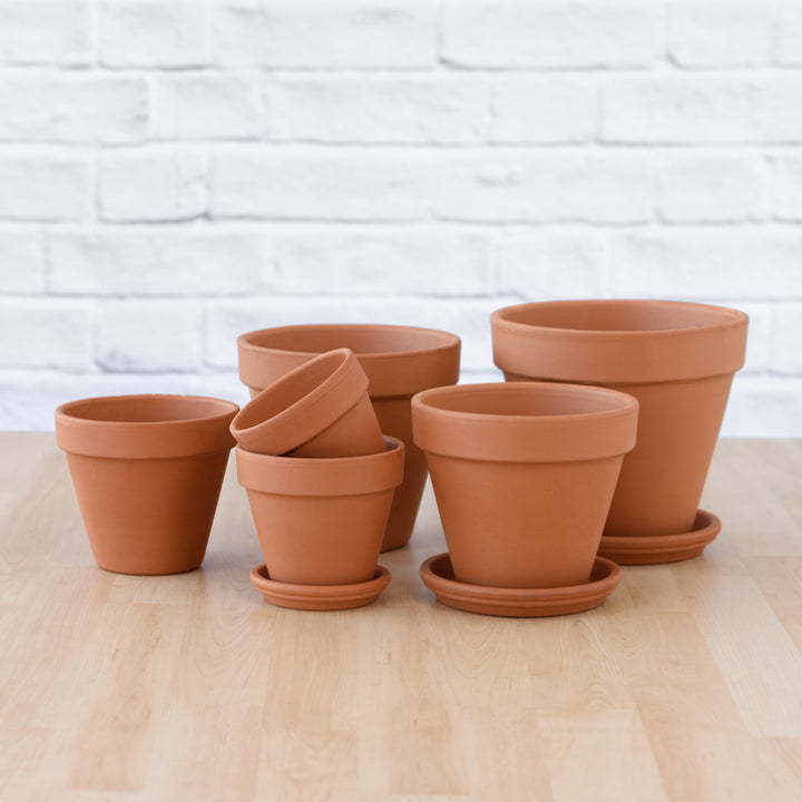 Terracotta Pot & Saucer - Standard - Shop Online!