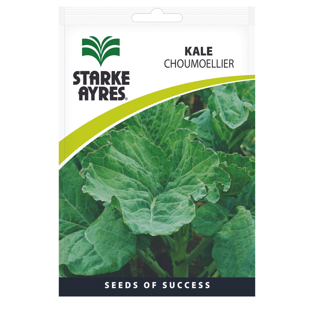 Seeds - Kale - Shop Online!