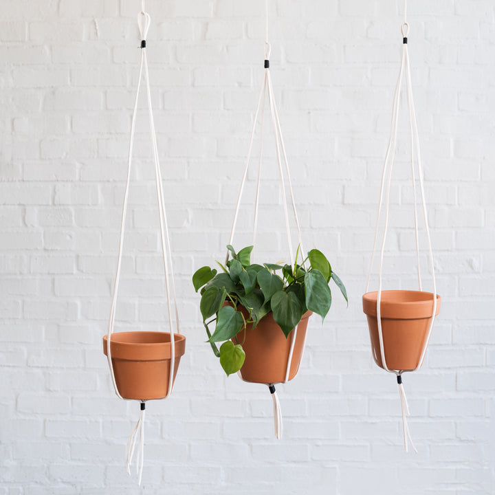 White Leather Hanger - Shop Online!