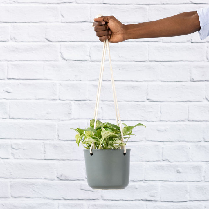 Emerson Leather Matte Hanging Pot - Shop Online!