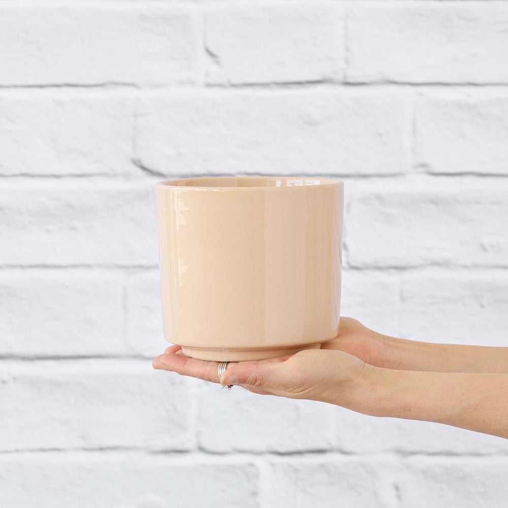 Migo Planter - Blush - Shop Online!