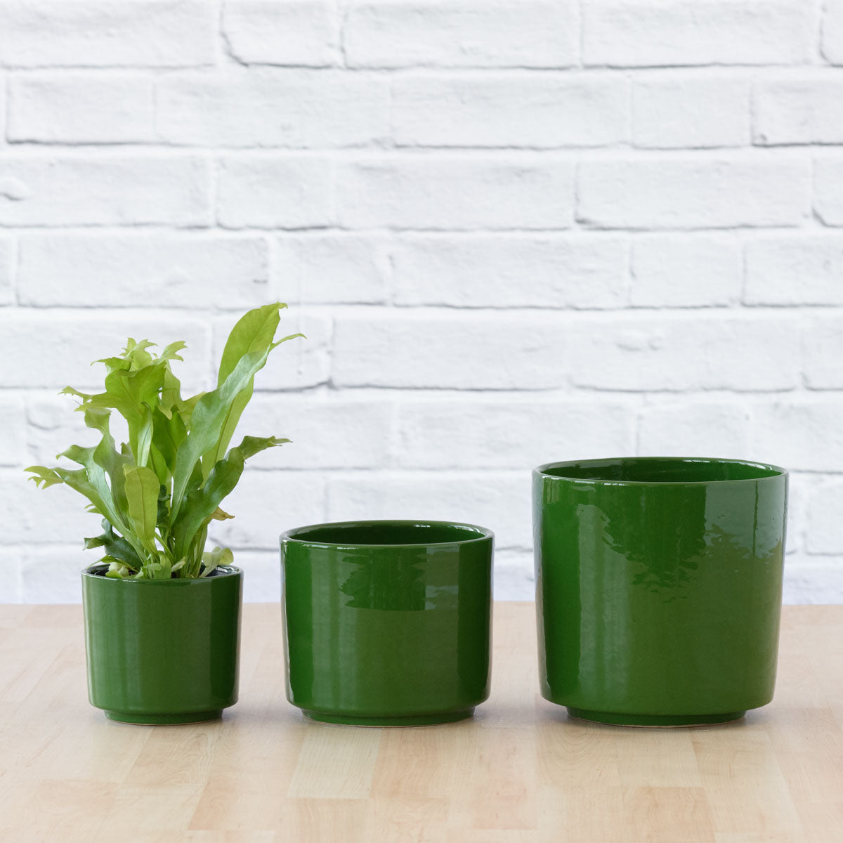 dark green indoor plant pot Migo Planter - Forest Green