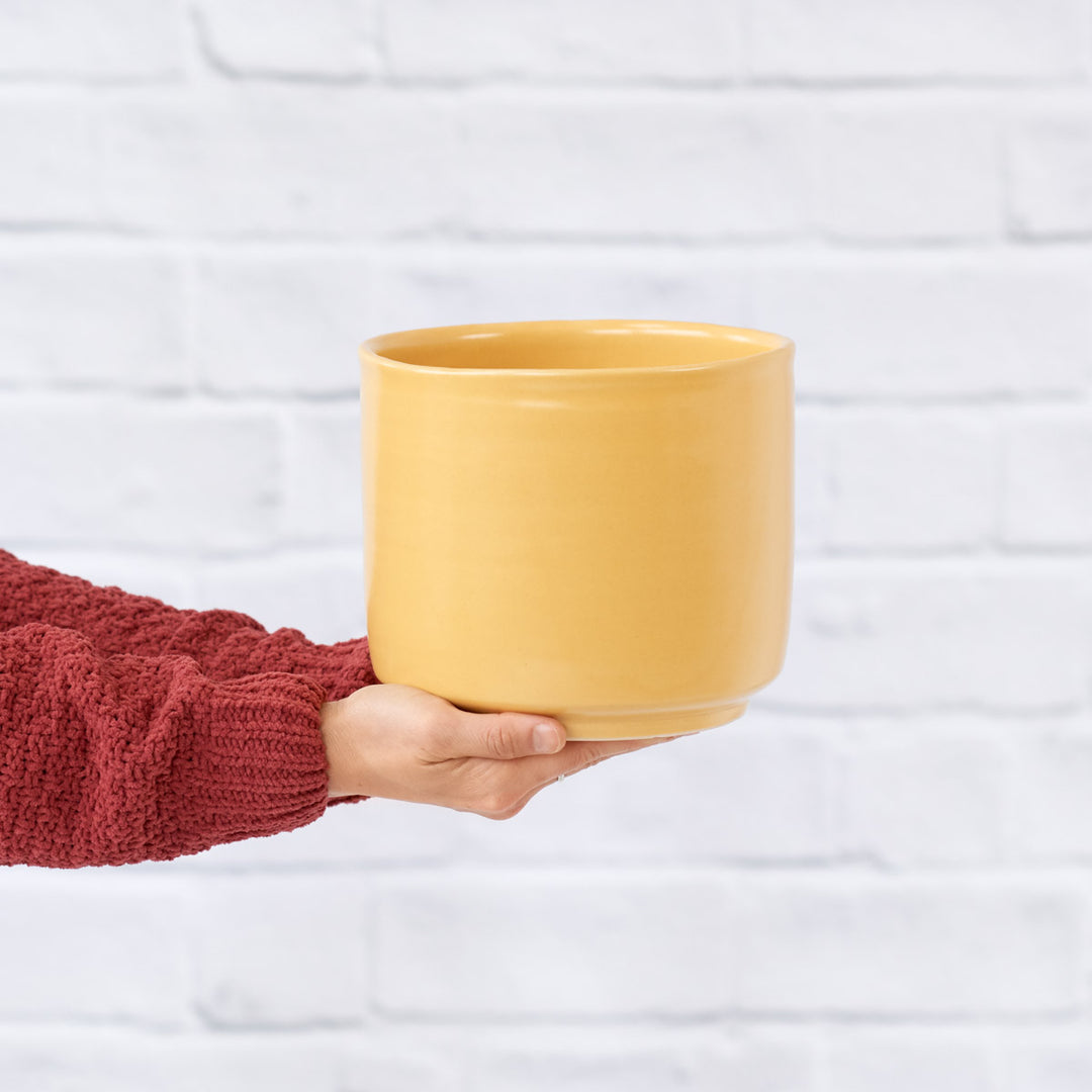 Migo Planter - Mustard Yellow - Shop Online!