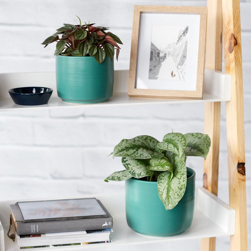 Migo Planter - Teal Blue - Shop Online!