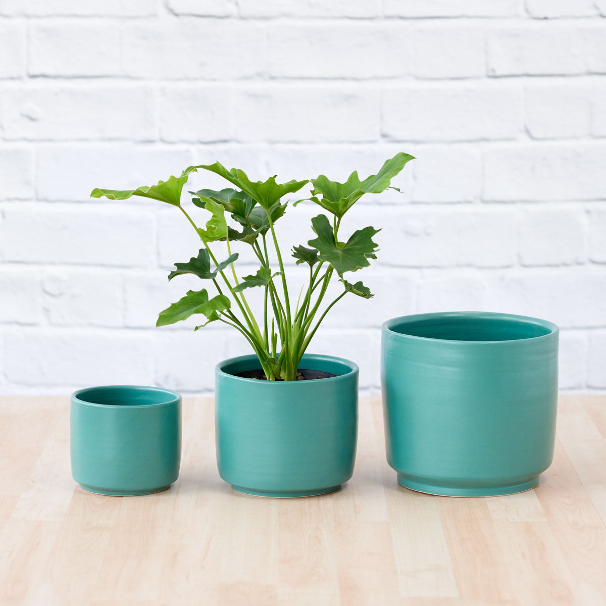 Migo Planter - Teal Blue | Indoor Plant Pot