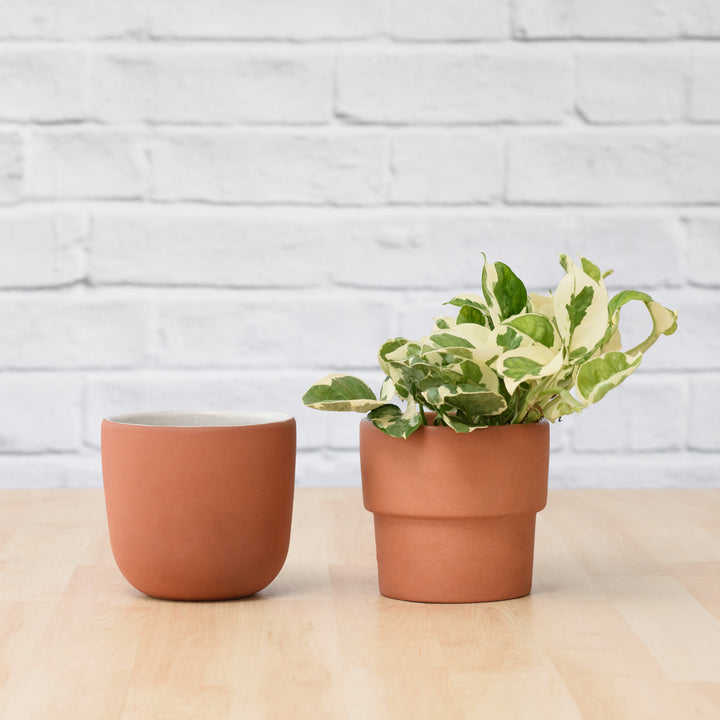 Moon Planter - Terracotta White - Shop Online!