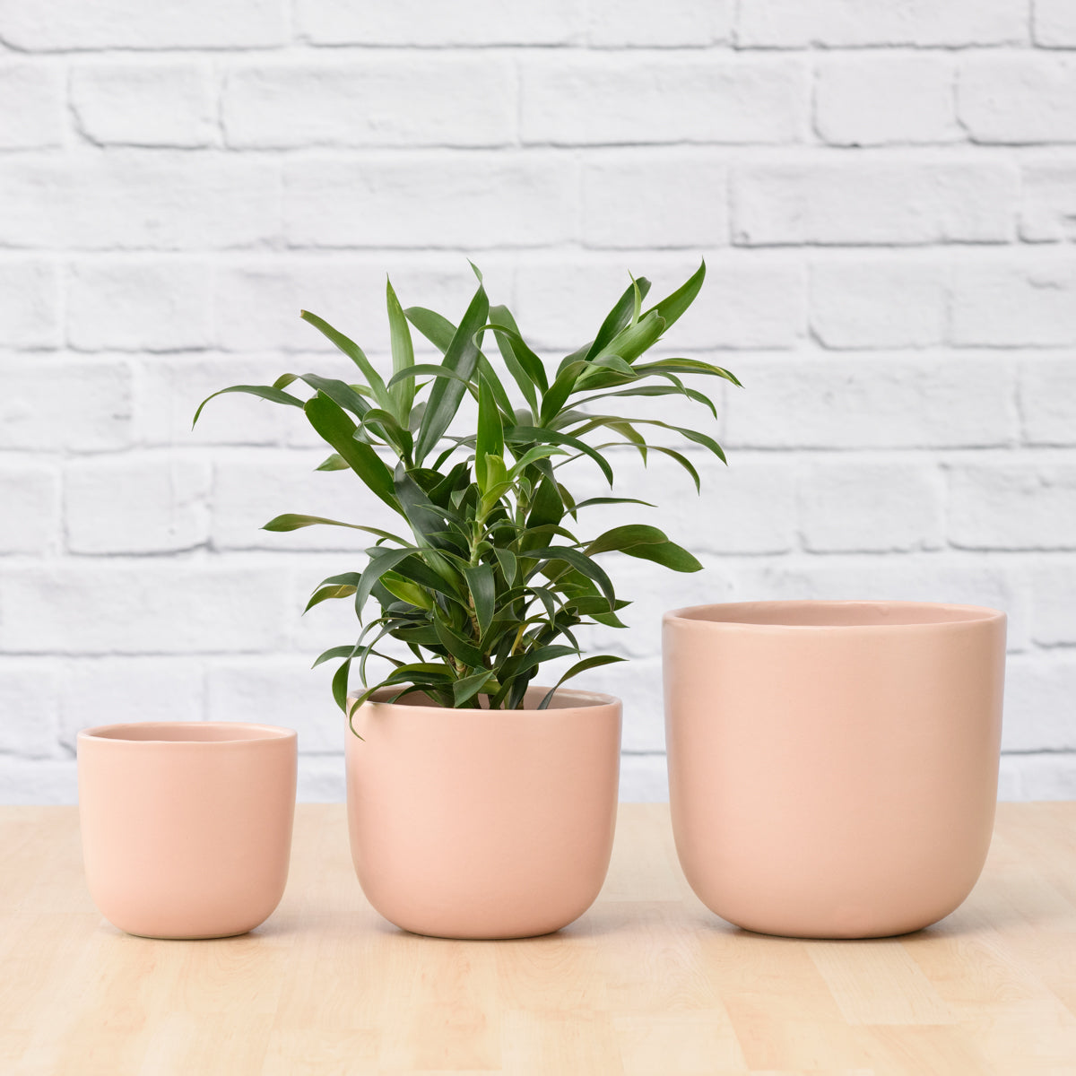 pink plant pot indoor Moon Planter - Millennial Pink