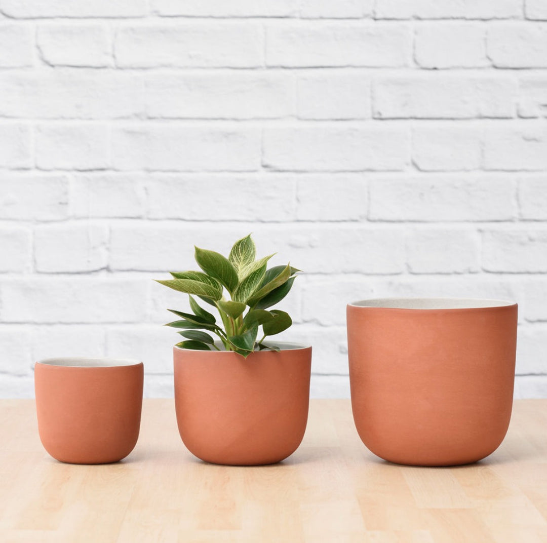 Moon Planter - Terracotta White - Shop Online!