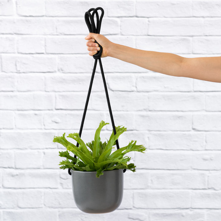 Moon Hanging Planter - Grey - Shop Online!