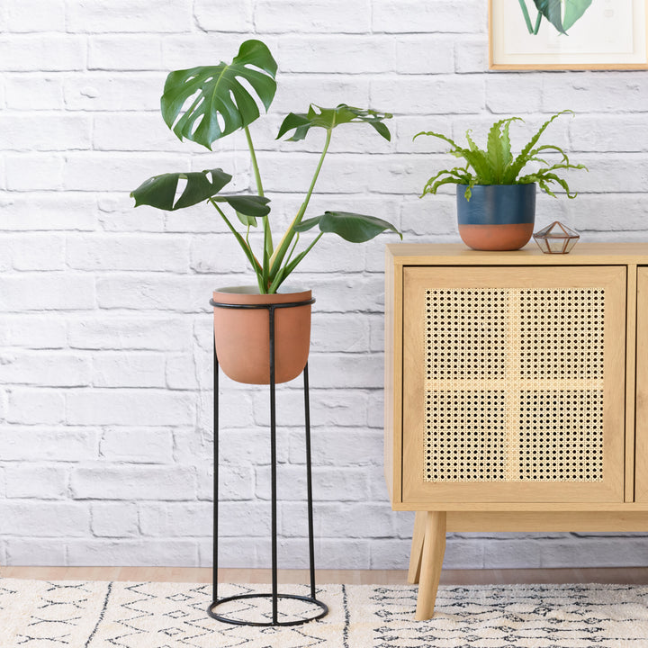 Orion Plant Stand - Black - Shop Online!