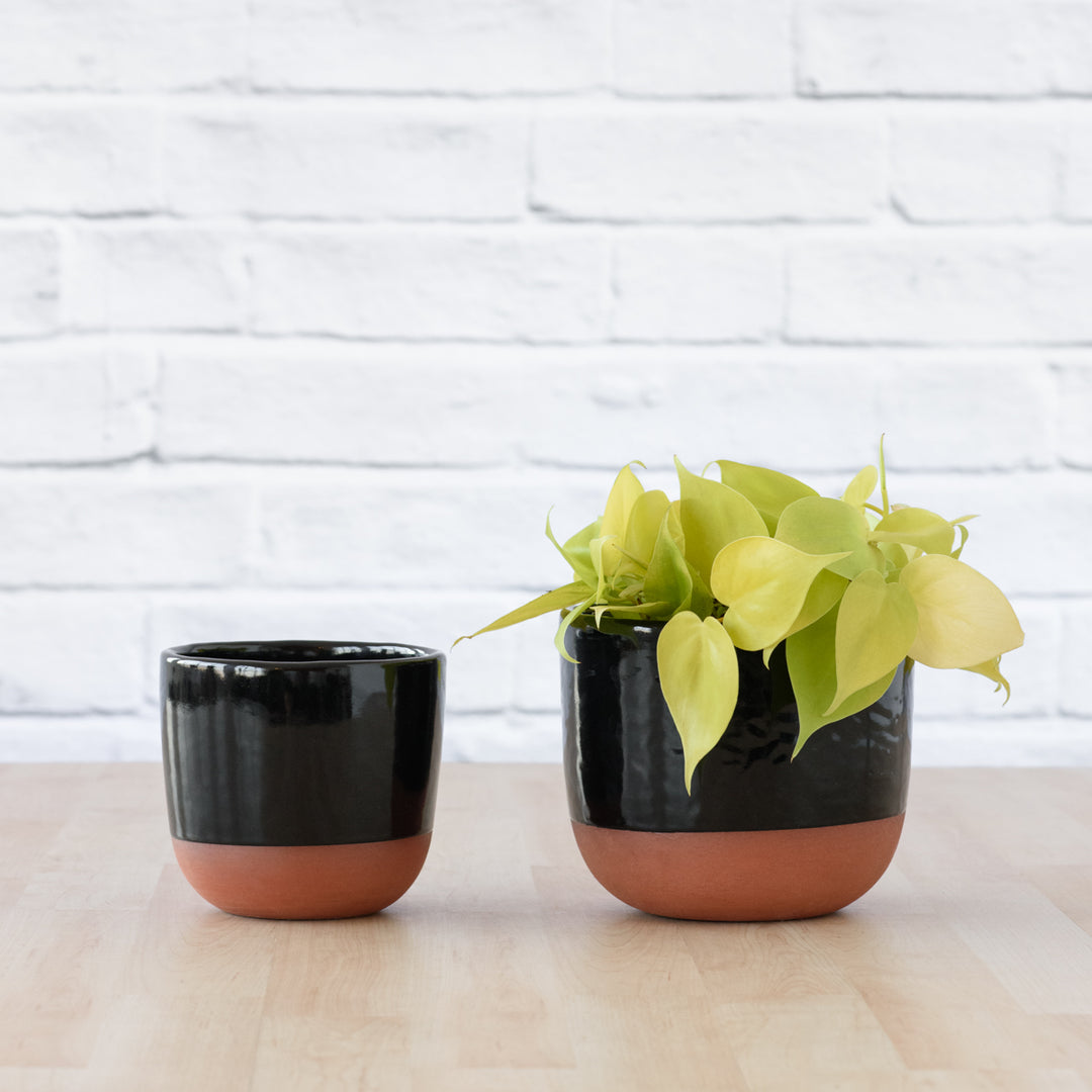 Pluto Planter - Black - Shop Online!