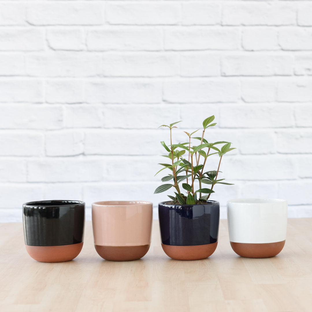 Pluto Planter - Black - Shop Online!
