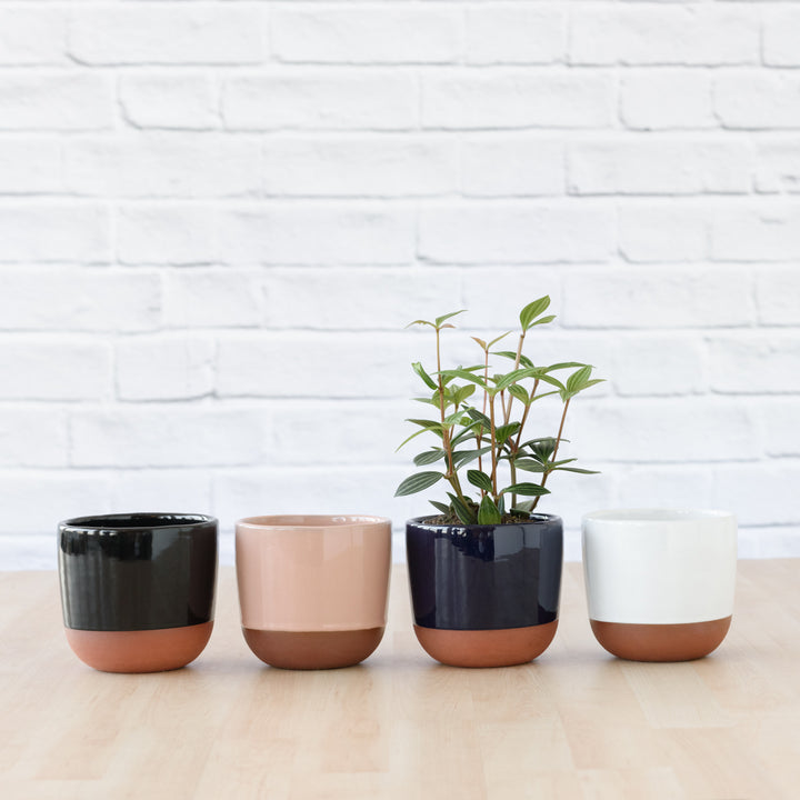 Pluto Planter - Black - Shop Online!