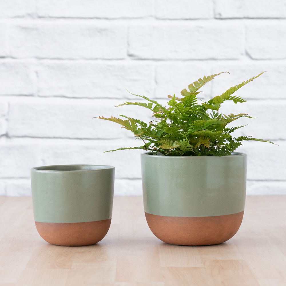 sage green plant pot Pluto Planter