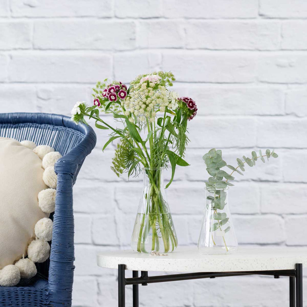 Propagation Vase - Shop Online!