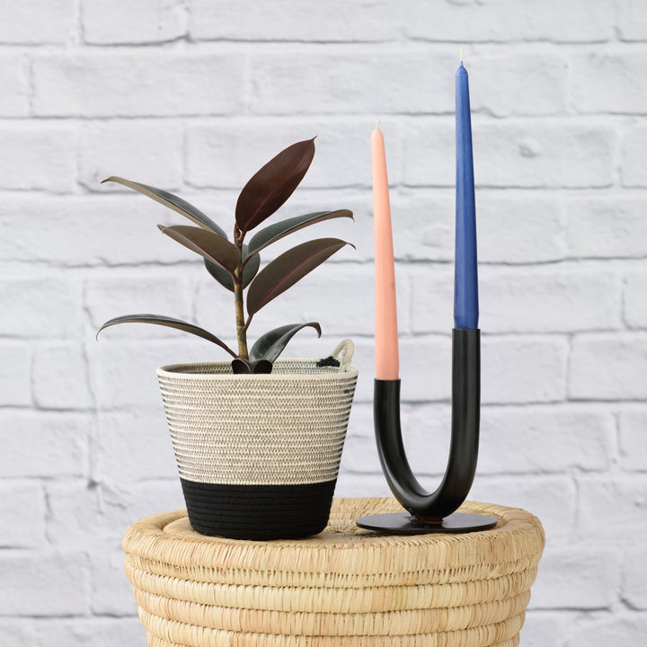 Rubber Tree - Abidjan - Shop Online!